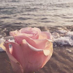 Meet your Posher, Mia